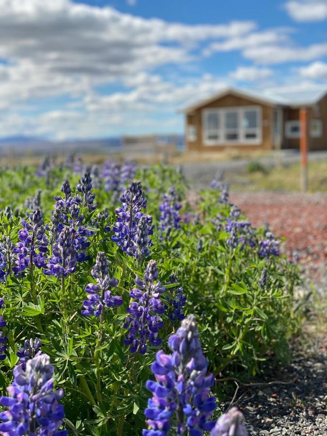 Blue View Cabin 6A With Private Hot Tub Reykholt  Dış mekan fotoğraf